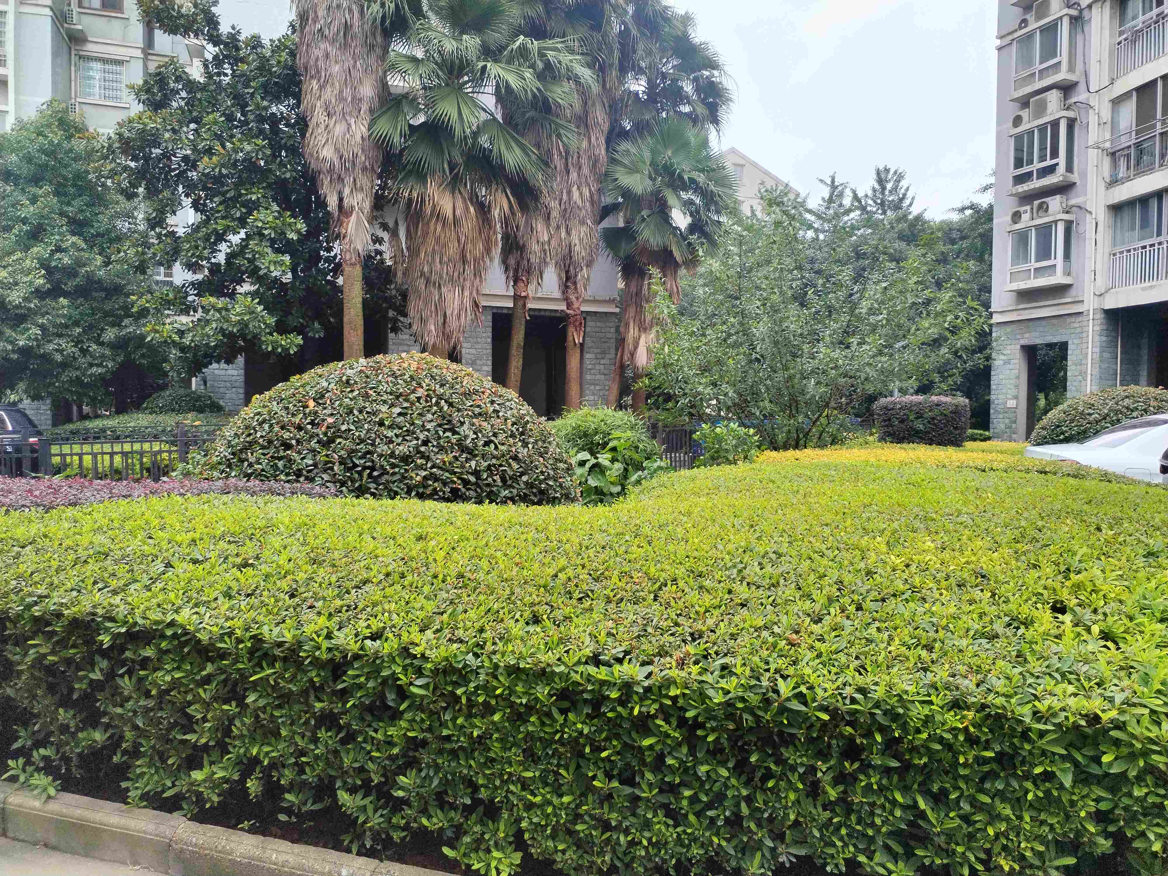 常德物業(yè)管理,物業(yè)企業(yè),陽(yáng)光物業(yè)